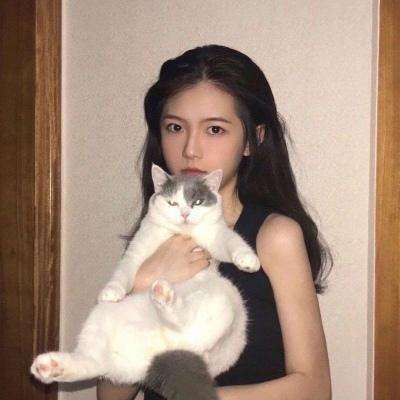 口袋幻兽手游下载